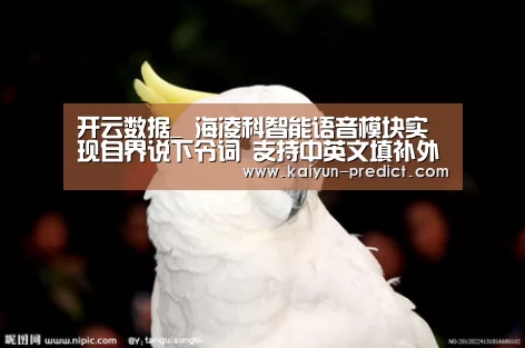开云官网