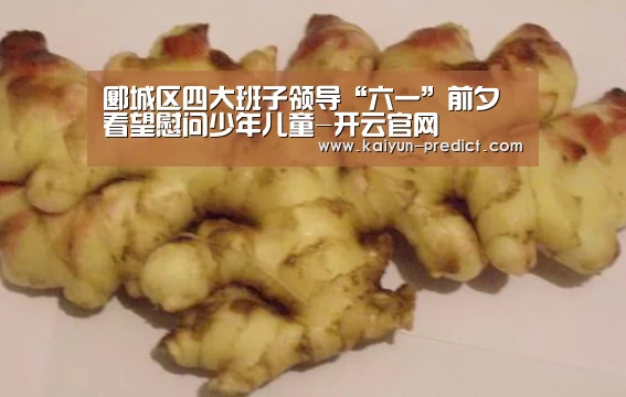 郾城区四大班子领导“六一”前夕看望慰问少年儿童-开云官网