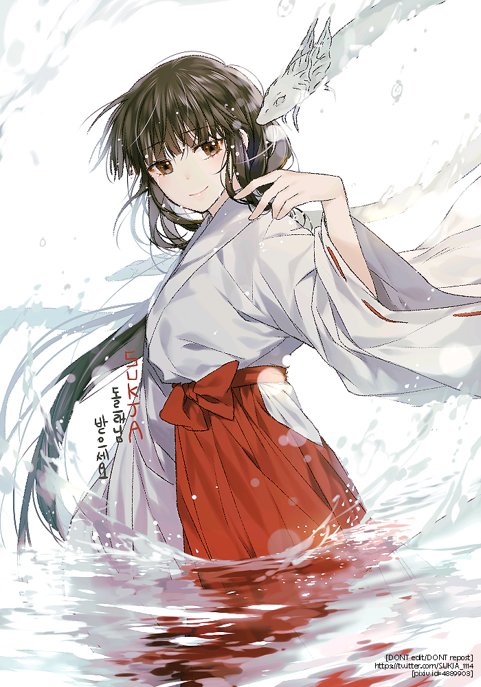 开云数据