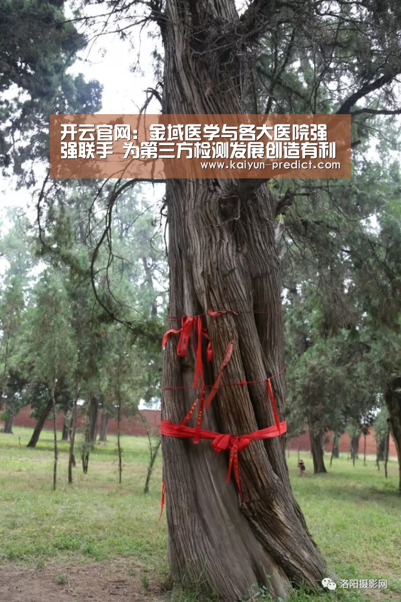 开云官网：金域医学与各大医院强强联手 为第三方检测发展创造有