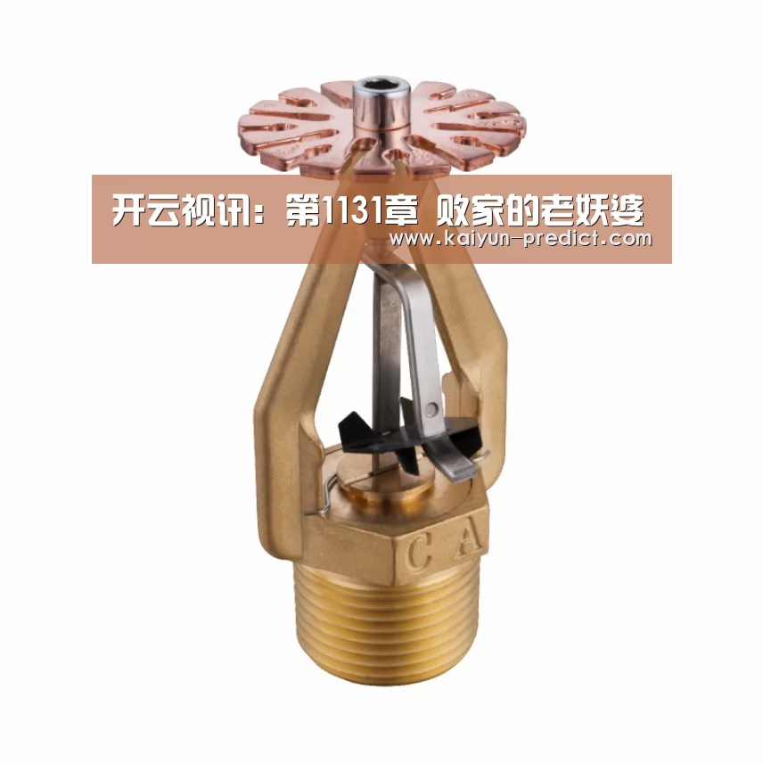 开云视讯：第1131章 败家的老妖婆
