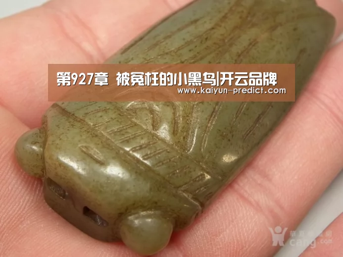 第927章 被冤枉的小黑鸟|开云品牌(图2) 开云数据