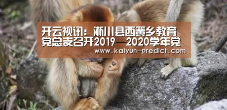 开云视讯：淅川县西簧乡教育党总支召开2019—2020学年党