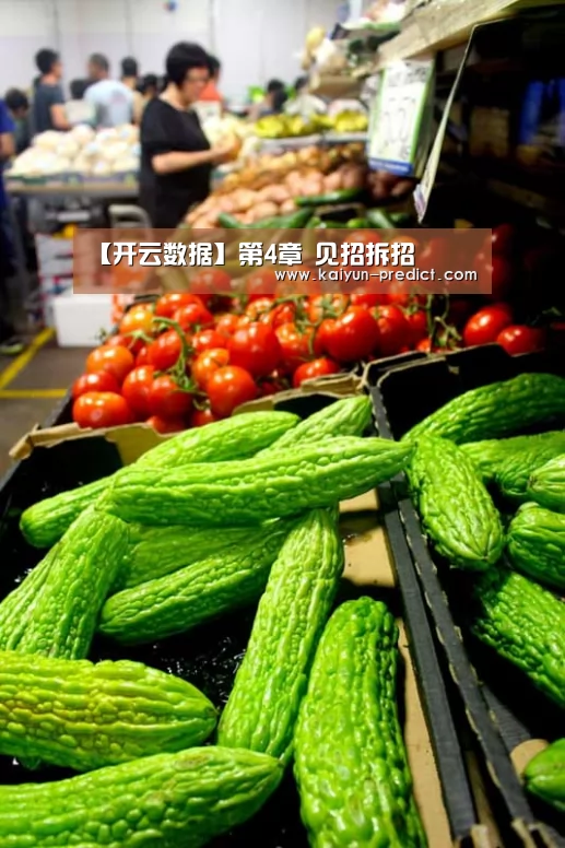 【开云数据】第4章 见招拆招