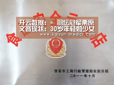 开云视讯